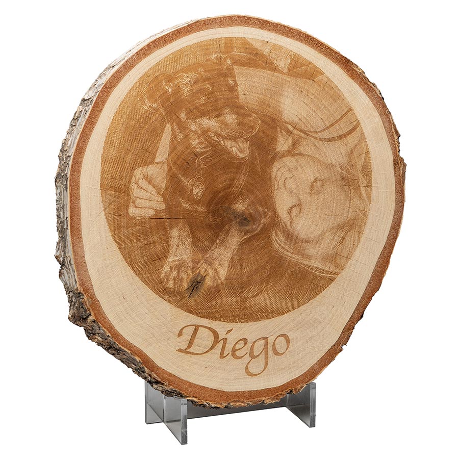 Holzscheibe Diego